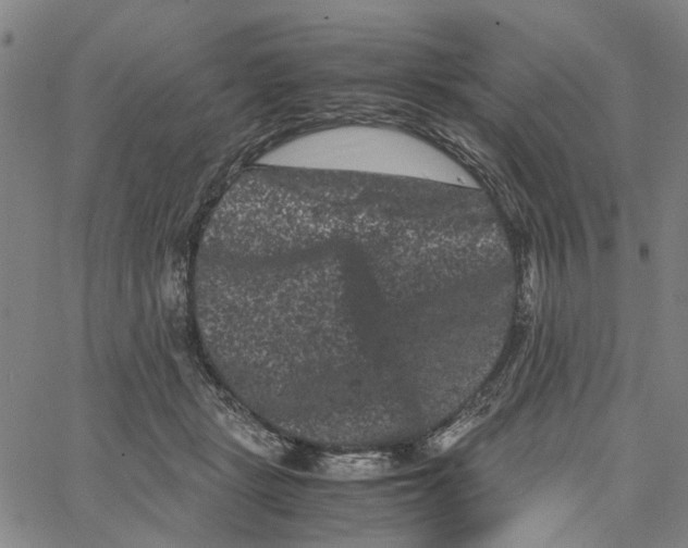 X0000062630461200601181724