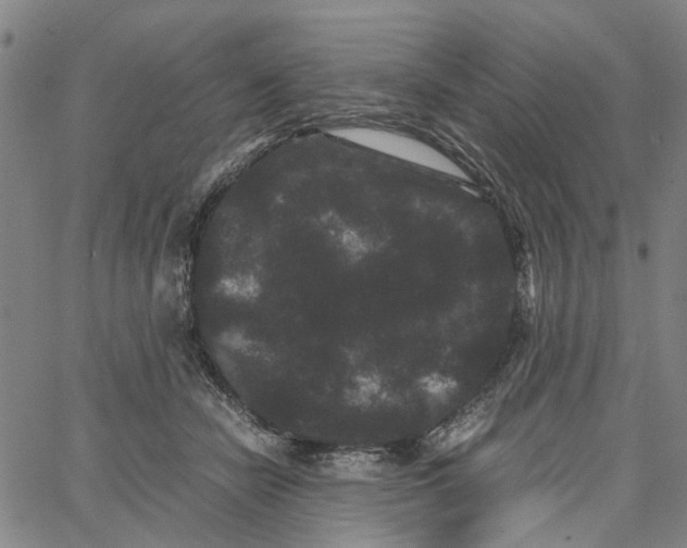 X0000062630462200601181724