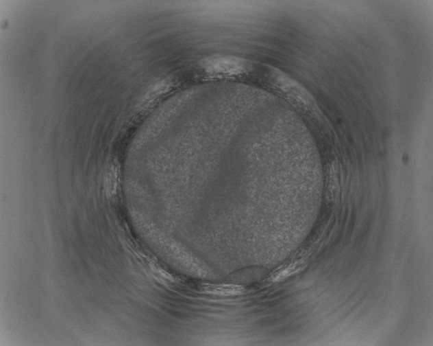 X0000062630463200601181724