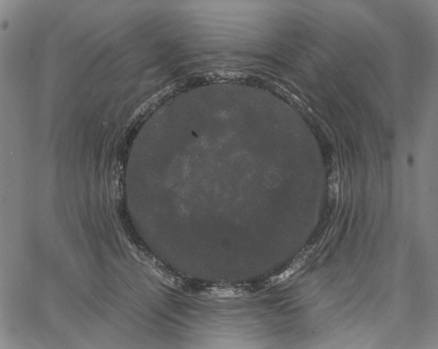 X0000062630464200601181724