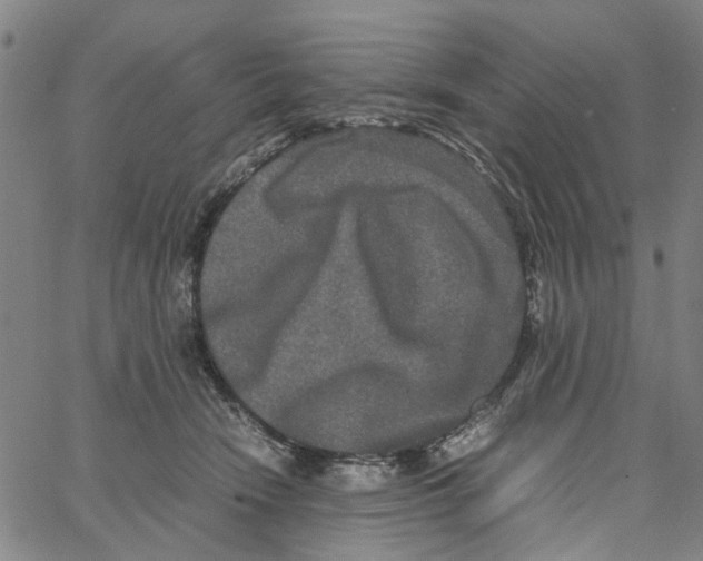 X0000062630466200601181724