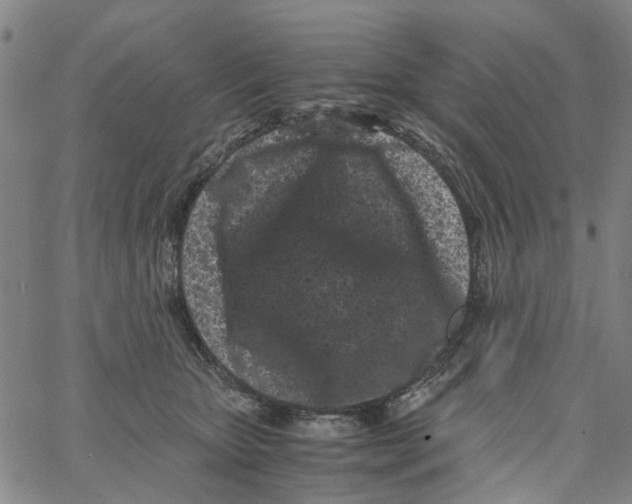 X0000062630467200601181724