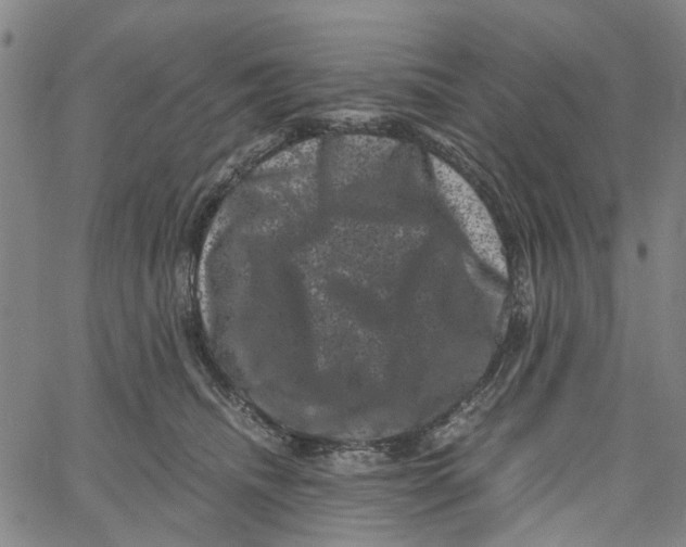 X0000062630468200601181724