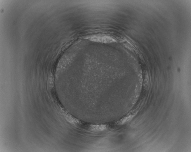 X0000062630469200601181724