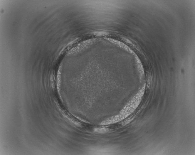 X0000062630470200601181724