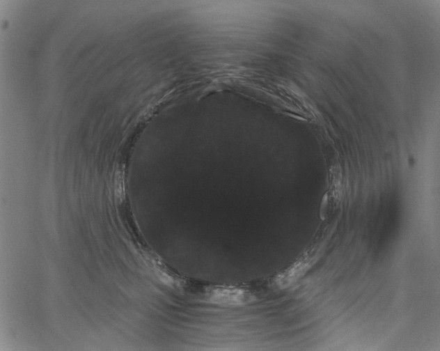 X0000062630471200601181724