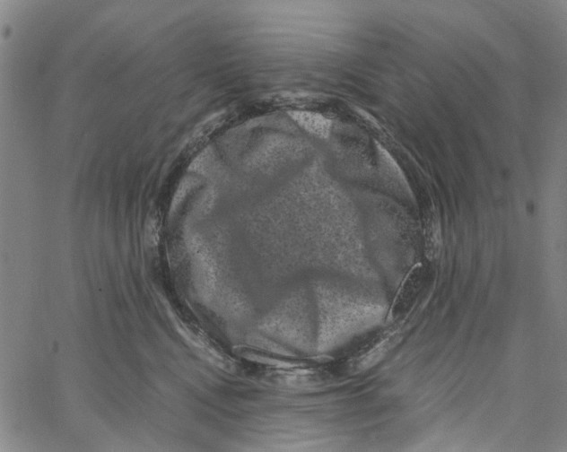 X0000062630472200601181724