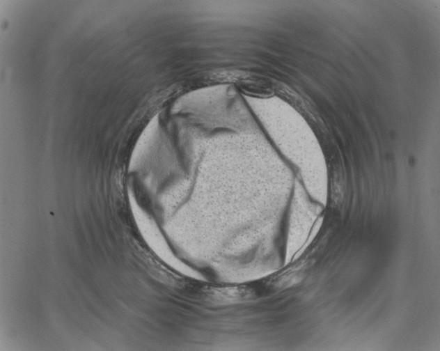 X0000062630473200601181724