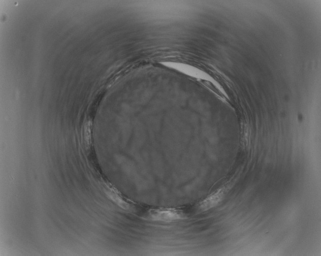 X0000062630475200601181724