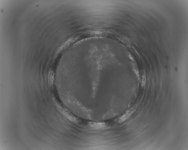 X0000062630476200601181724