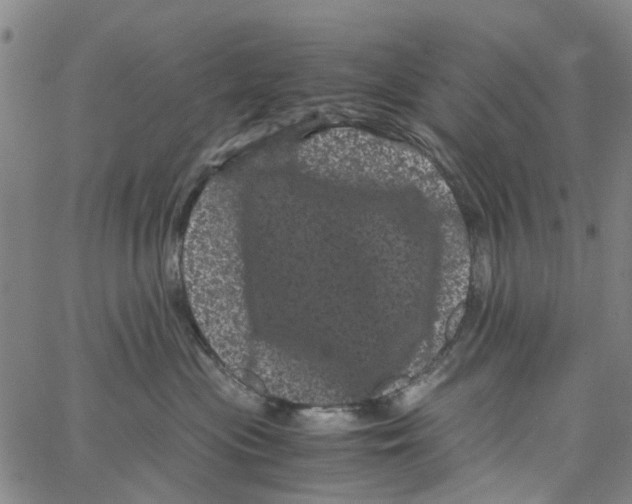 X0000062630477200601181724