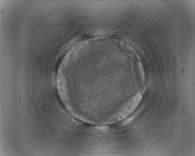 X0000062630478200601181724