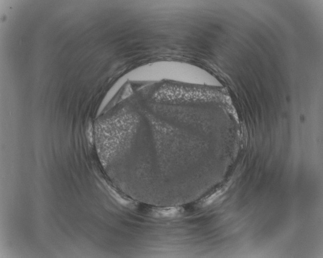 X0000062630479200601181724