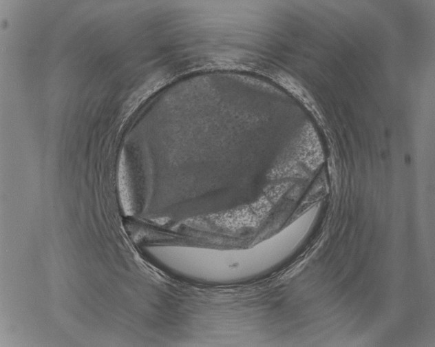 X0000062630481200601181723