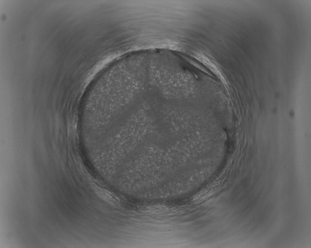 X0000062630483200601181723