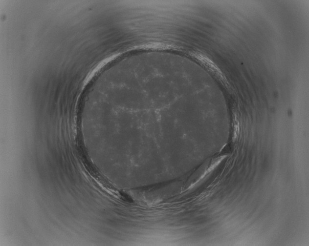 X0000062630484200601181723