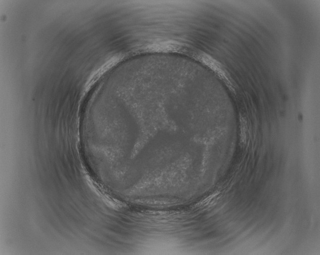 X0000062630486200601181723