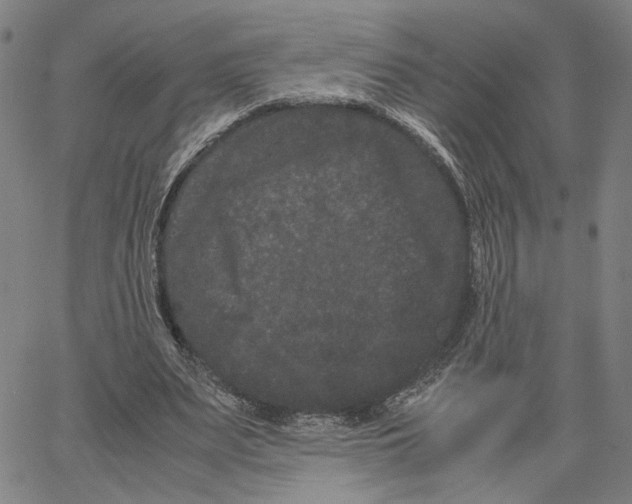 X0000062630487200601181723