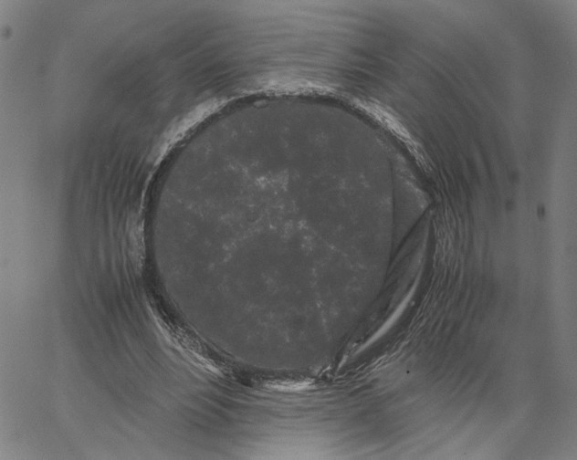 X0000062630488200601181723