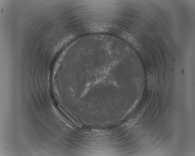 X0000062630490200601181723