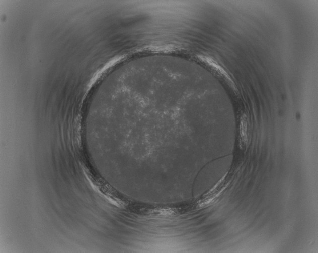 X0000062630492200601181723