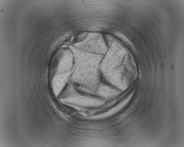 X0000062630493200601181723