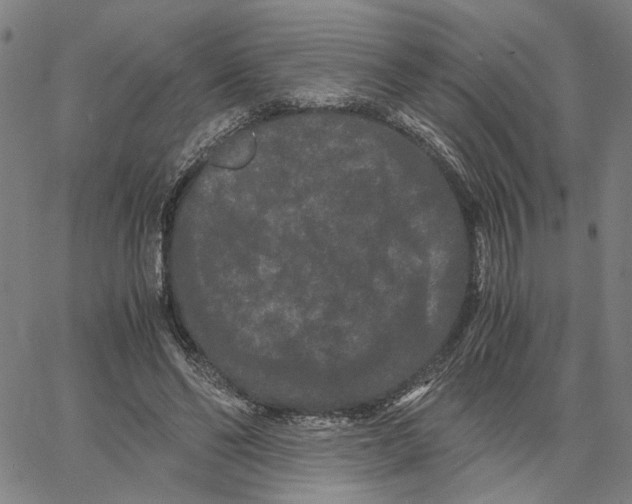 X0000062630494200601181723