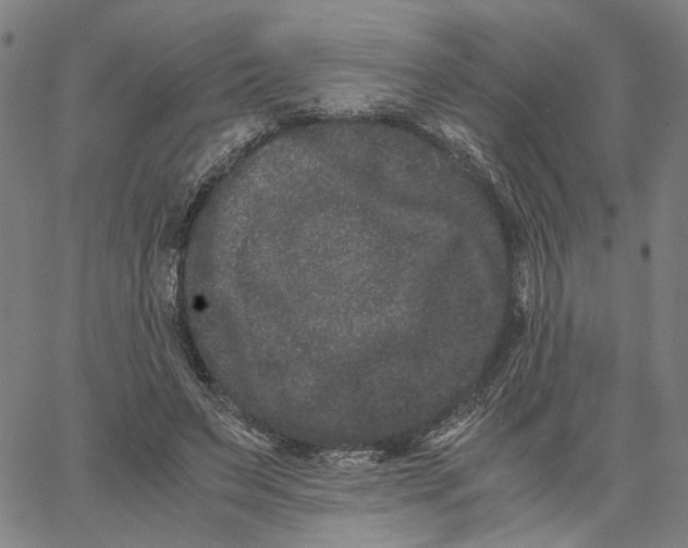 X0000062630495200601181723