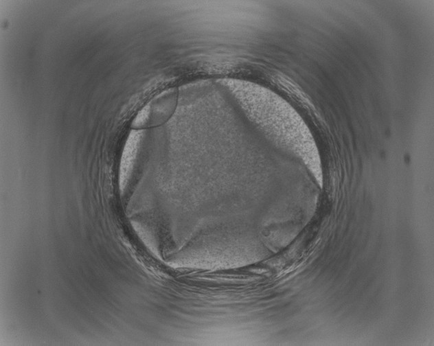 X0000062630497200601181723