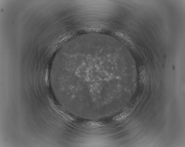 X0000062630498200601181723