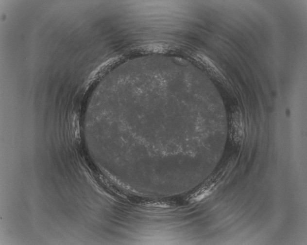 X0000062630500200601181723