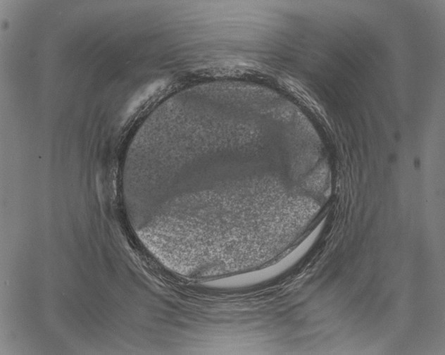 X0000062630501200601181723