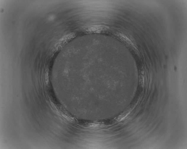 X0000062630504200601181723