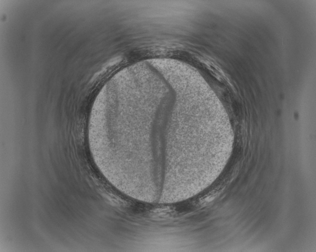 X0000062630505200601181723