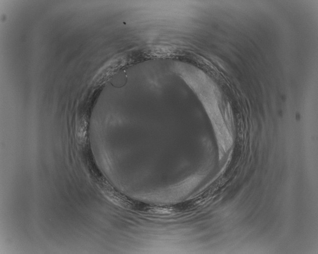 X0000062630507200601181723