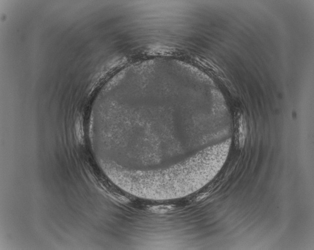 X0000062630508200601181723