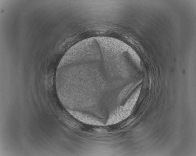 X0000062630509200601181723