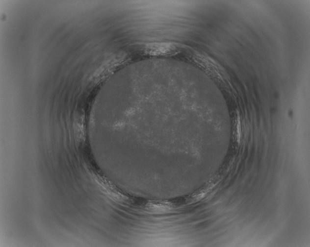 X0000062630510200601181723