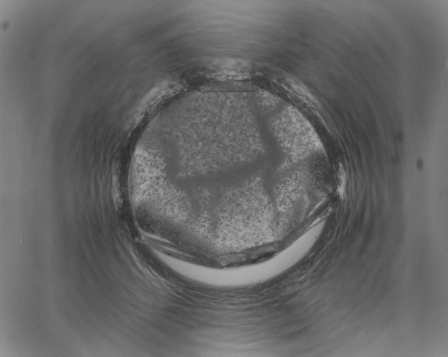 X0000062630512200601181723