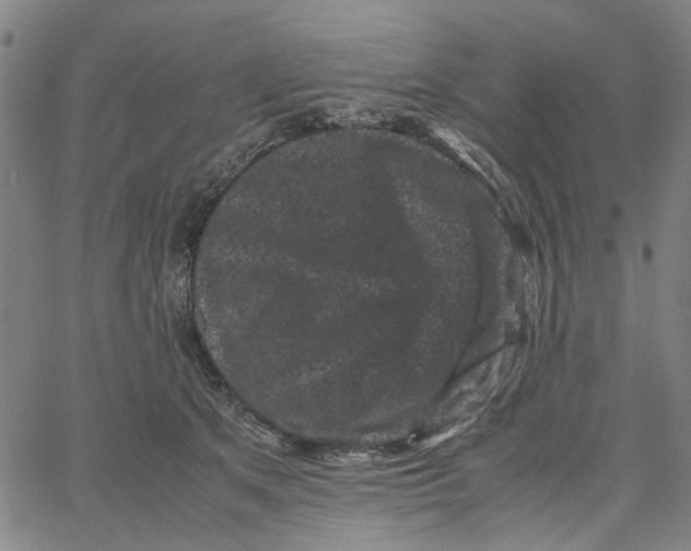 X0000062630513200601181723