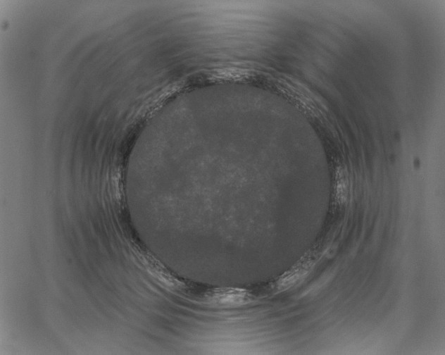 X0000062630514200601181723