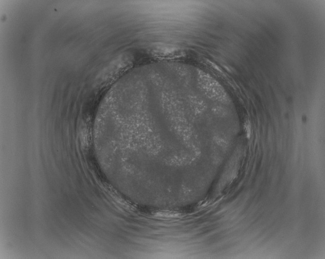 X0000062630515200601181723