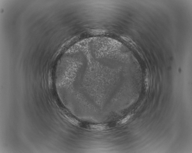 X0000062630516200601181723