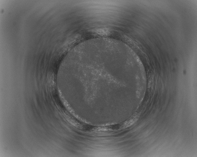 X0000062630518200601181723