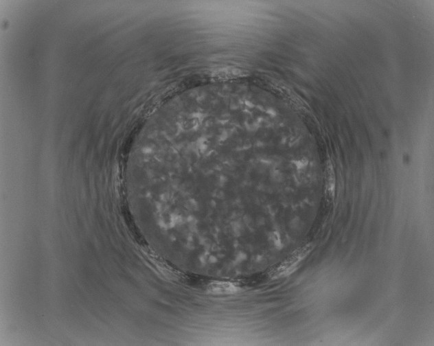 X0000062630519200601181723