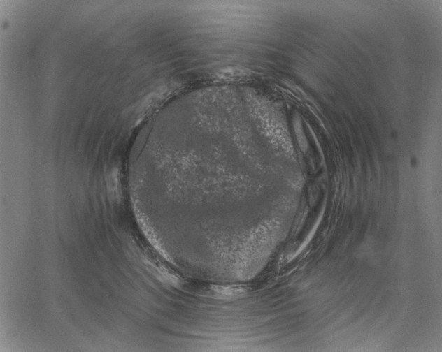 X0000062630520200601181723