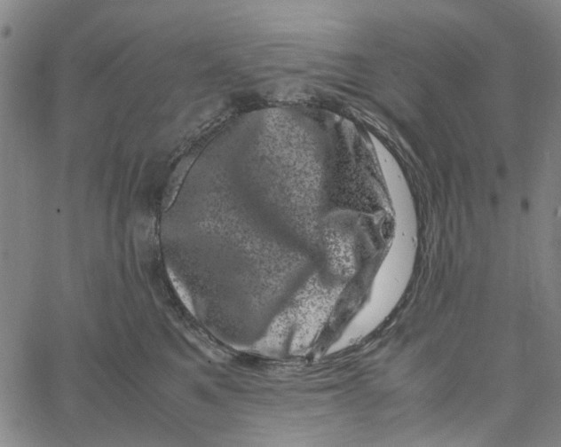 X0000062630521200601181723