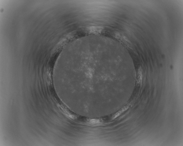 X0000062630522200601181723