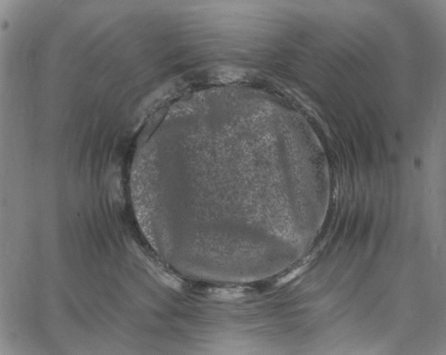 X0000062630524200601181723