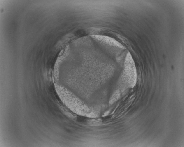 X0000062630525200601181723